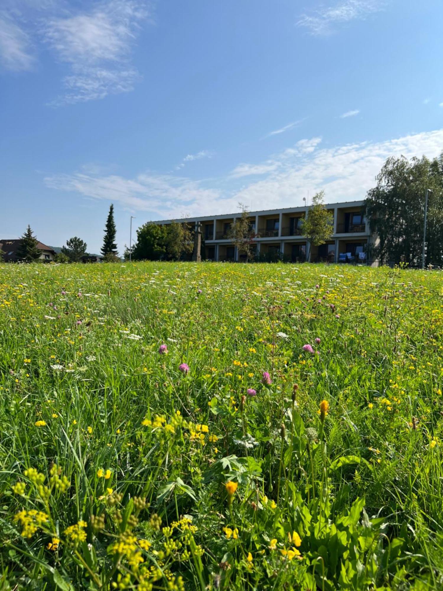 Lazensky A Wellness Hotel Nivamare Luhačovice Exteriér fotografie